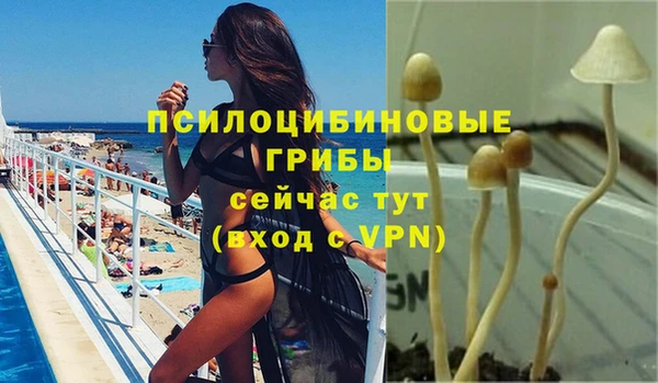 2c-b Ижевск