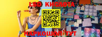 шишки Гай