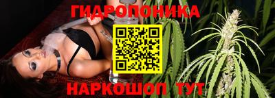 MDMA Premium VHQ Гатчина