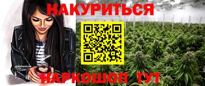 шишки Гай