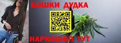 шишки Гай